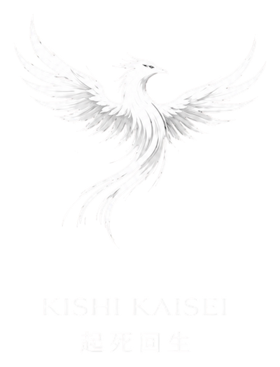 KISHI KAISEI